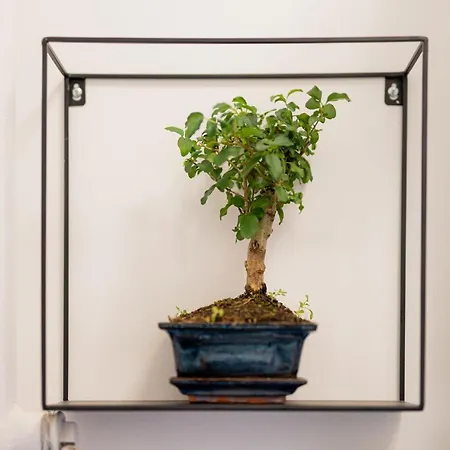 Ujbuda Rest With Air Condition And Balcony * Βουδαπέστη